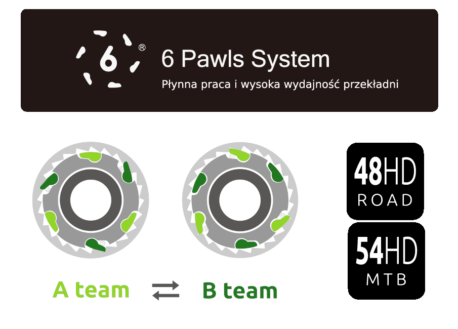 6-pawls system